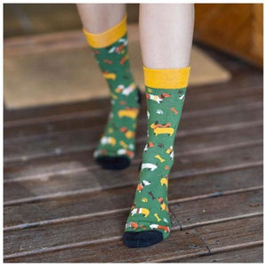 Meias Kylie Crazy Cão Salsicha - Rarassocks