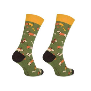 Meias Kylie Crazy Cão Salsicha - Rarassocks