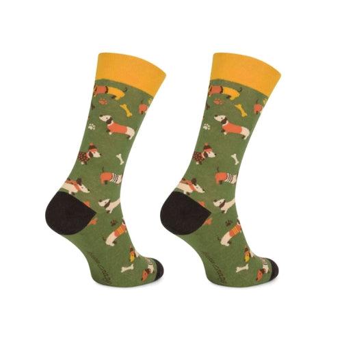 Meias Kylie Crazy Cão Salsicha - Rarassocks