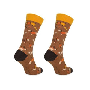 Meias Kylie Crazy Cão Salsicha - Rarassocks