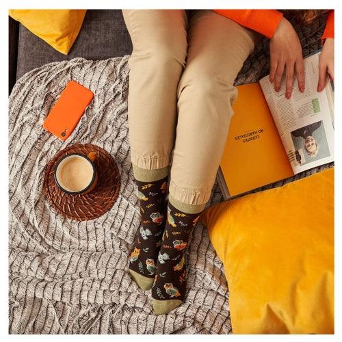 Meias Kylie Crazy Corujas - Rarassocks