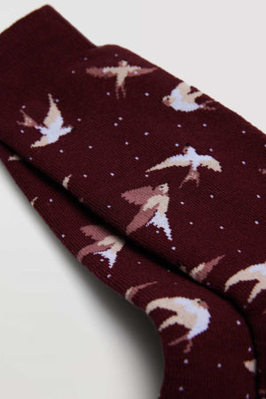 Pack de 4 pares de meias térmicas - Rarassocks