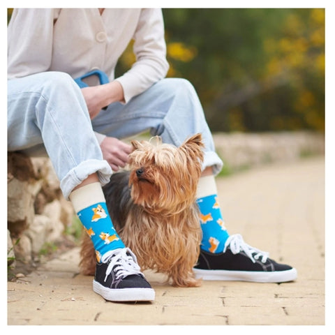 Calcetines de perro loco Kylie