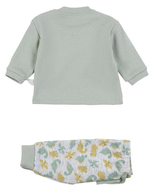 Conjunto Dinossauro - Rarassocks