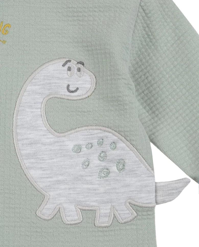 Conjunto Dinossauro - Rarassocks