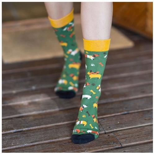 Meias Kylie Crazy Cão Salsicha - Rarassocks