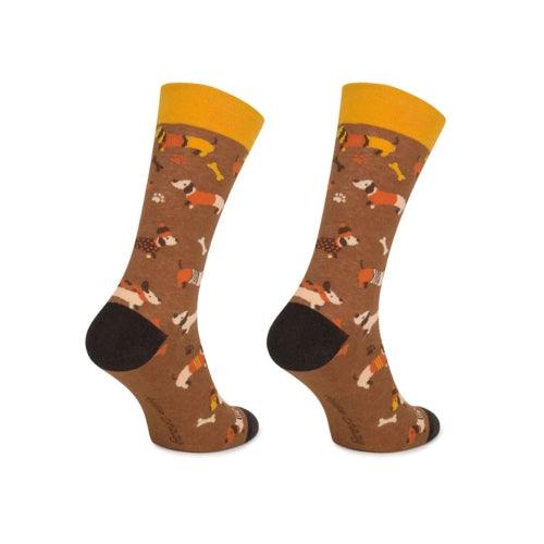 Meias Kylie Crazy Cão Salsicha - Rarassocks