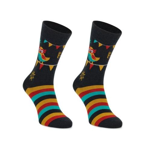 Meias Kylie Crazy Coruja - Rarassocks