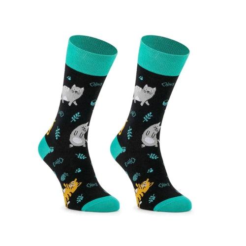 Meias Kylie Crazy Gatos - Rarassocks