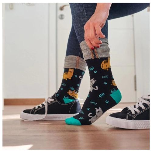 Meias Kylie Crazy Gatos - Rarassocks