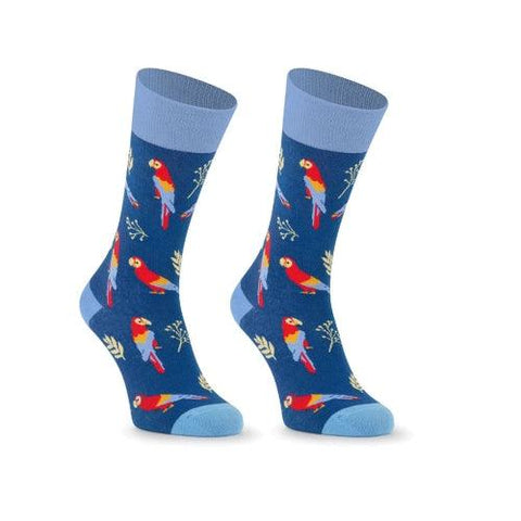 Meias Kylie Crazy Papagaios - Rarassocks