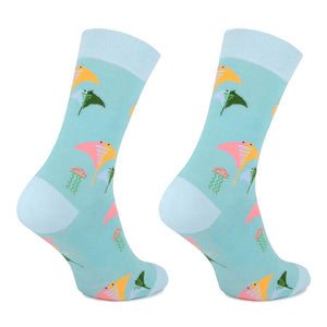 Meias Kylie Crazy Peixes Raia - Rarassocks