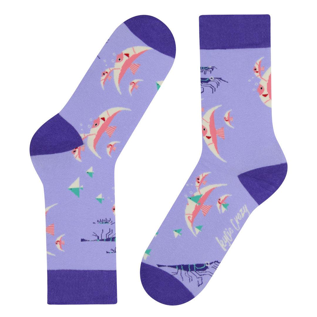 Meias Kylie Crazy Peixes - Rarassocks