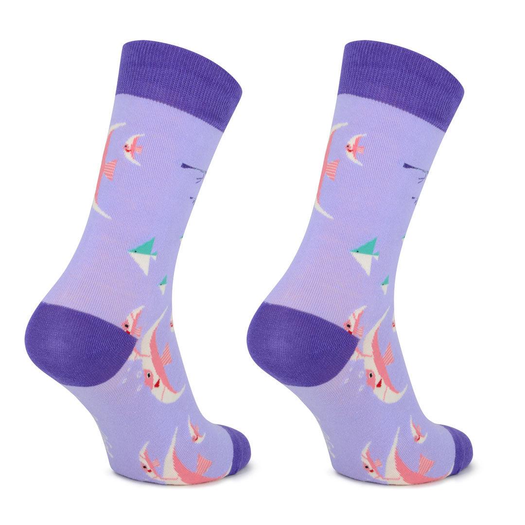 Meias Kylie Crazy Peixes - Rarassocks