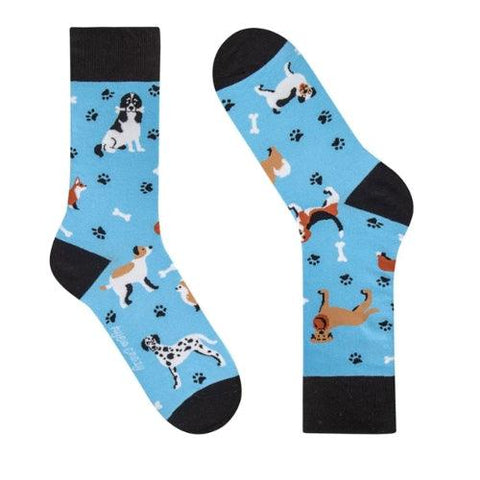 Meias Kylie Crazy Vários Cães - Rarassocks