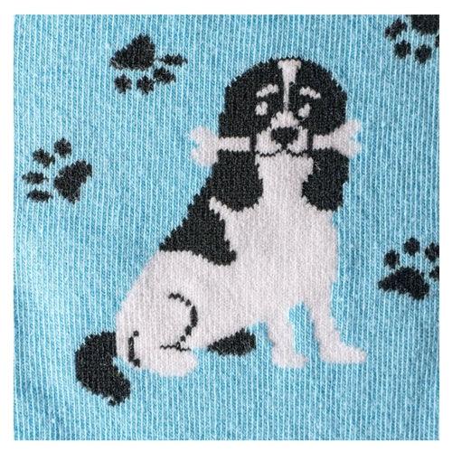 Meias Kylie Crazy Vários Cães - Rarassocks