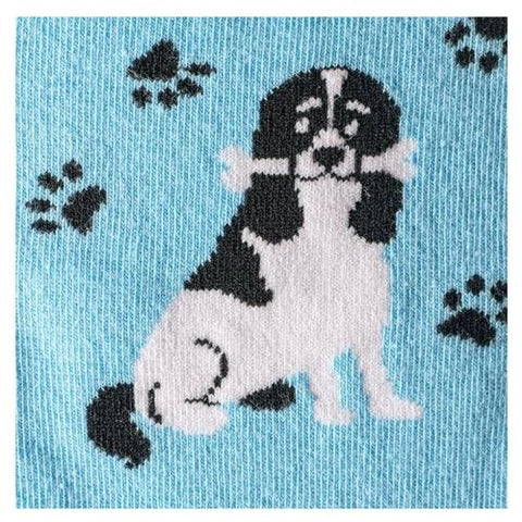 Meias Kylie Crazy Vários Cães - Rarassocks