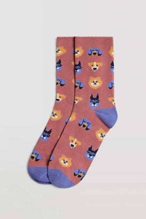 Pack 4 pares Meias sem punho - Rarassocks