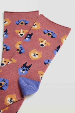 Pack 4 pares Meias sem punho - Rarassocks